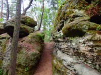 /album/fotogalerie-cinibulkova-stezka-a-lakave-skalni-labyrinty/cinibulkova-stezka6-jpg/